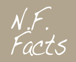 niagara falls facts